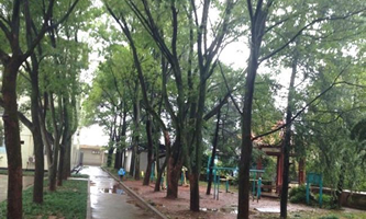 �ѻ��д���ˇ�g(sh��)�I(y��)�W(xu��)У