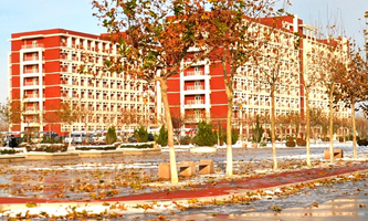 ����t(y��)�ƴ�W�R���t(y��)�WԺ