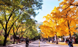 �������I(y��)��W