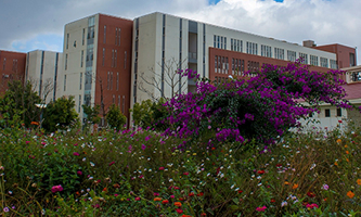 �����t(y��)�ƴ�W