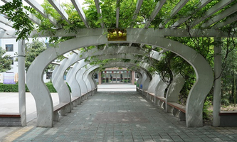 ����ʡ�����l(w��i)���W(xu��)У