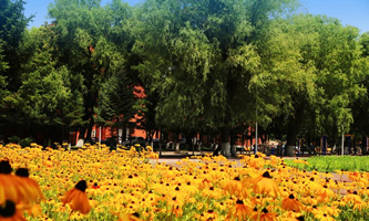 �й�����ʡί�hУ������ʡ�����WԺ��